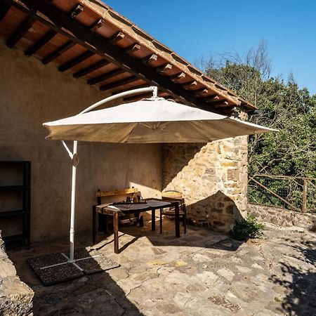 Agriturismo Santa Caterina カステルヌオーヴォ・ディ・ヴァル・ディ・チェーチナ エクステリア 写真