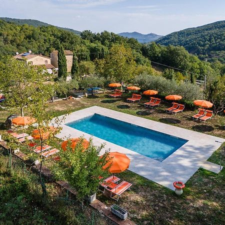 Agriturismo Santa Caterina カステルヌオーヴォ・ディ・ヴァル・ディ・チェーチナ エクステリア 写真