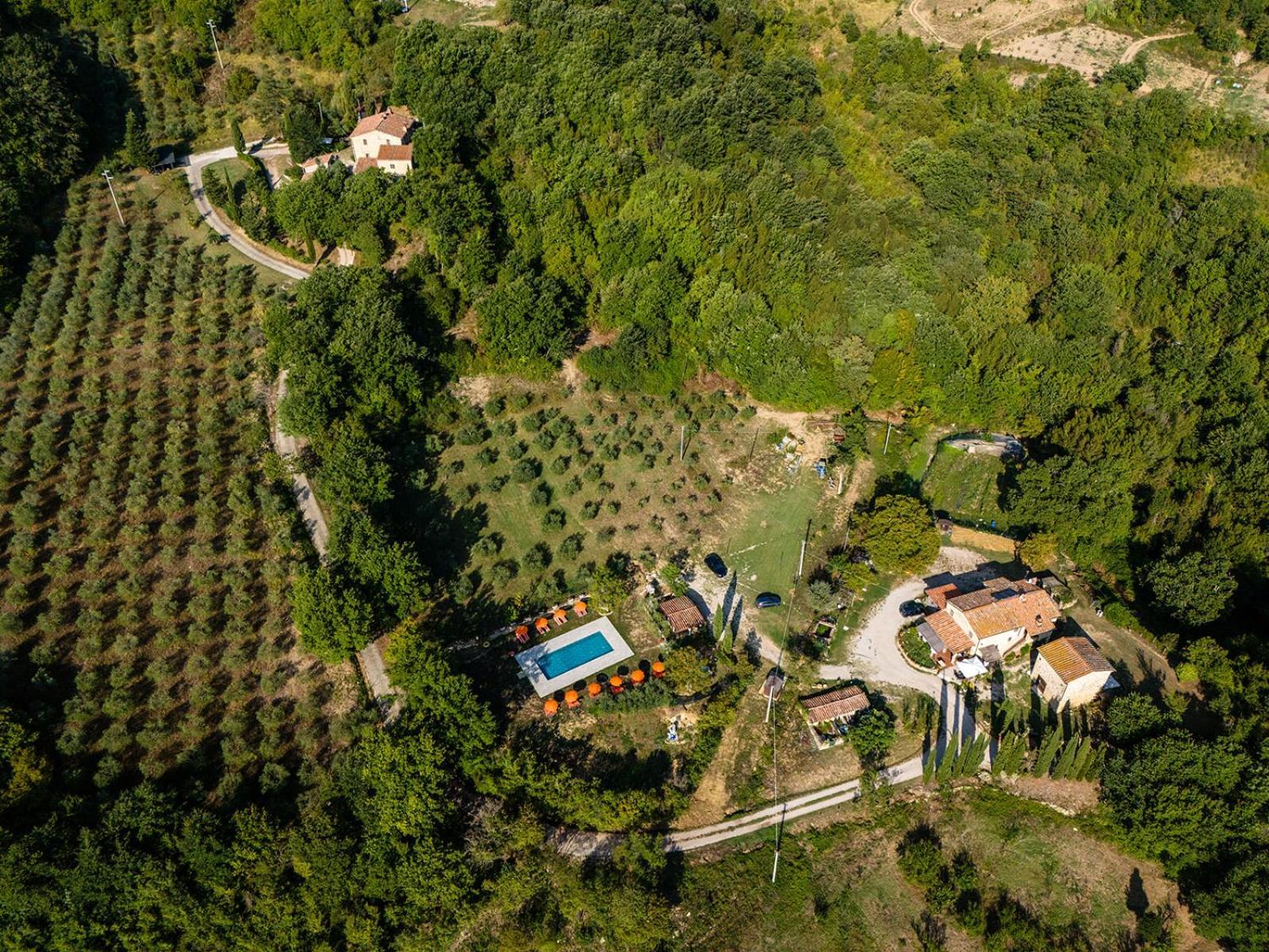 Agriturismo Santa Caterina カステルヌオーヴォ・ディ・ヴァル・ディ・チェーチナ エクステリア 写真