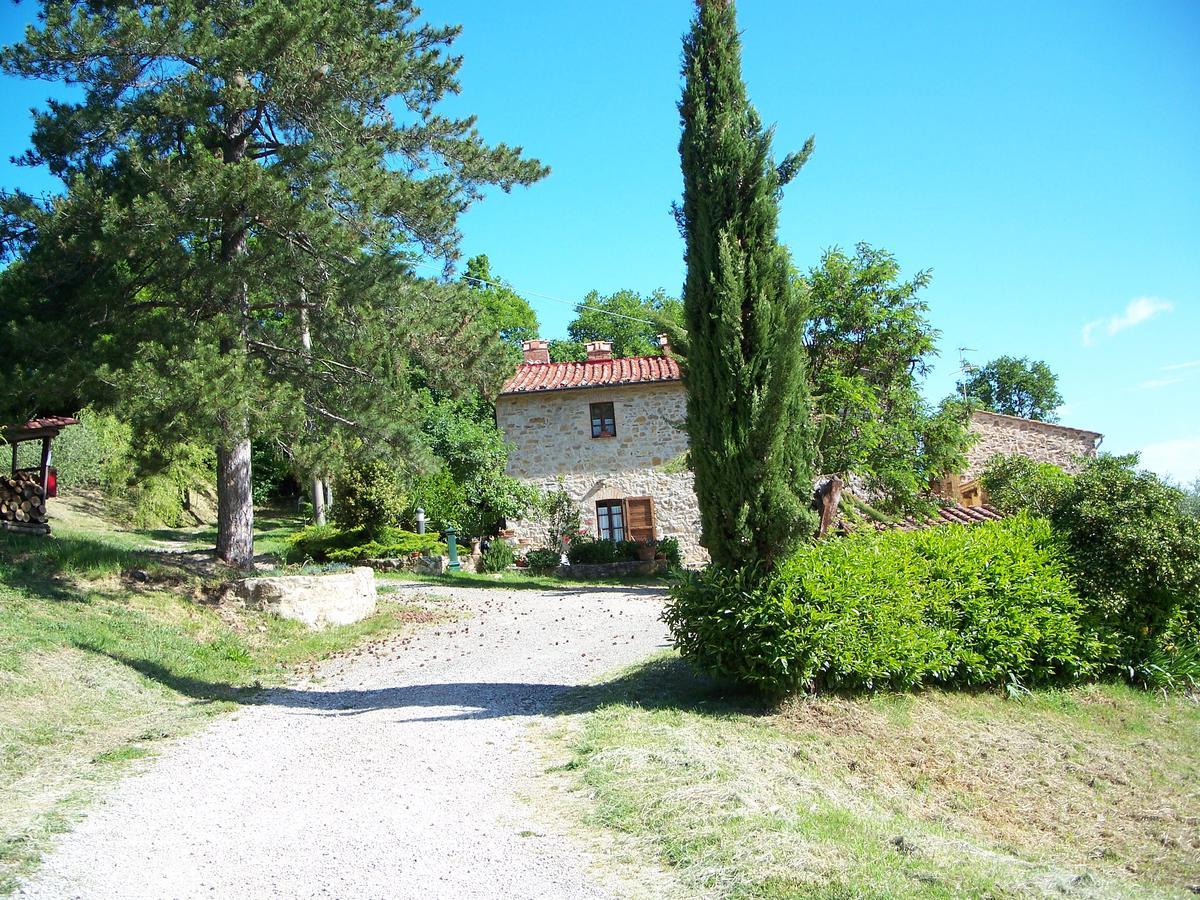 Agriturismo Santa Caterina カステルヌオーヴォ・ディ・ヴァル・ディ・チェーチナ エクステリア 写真