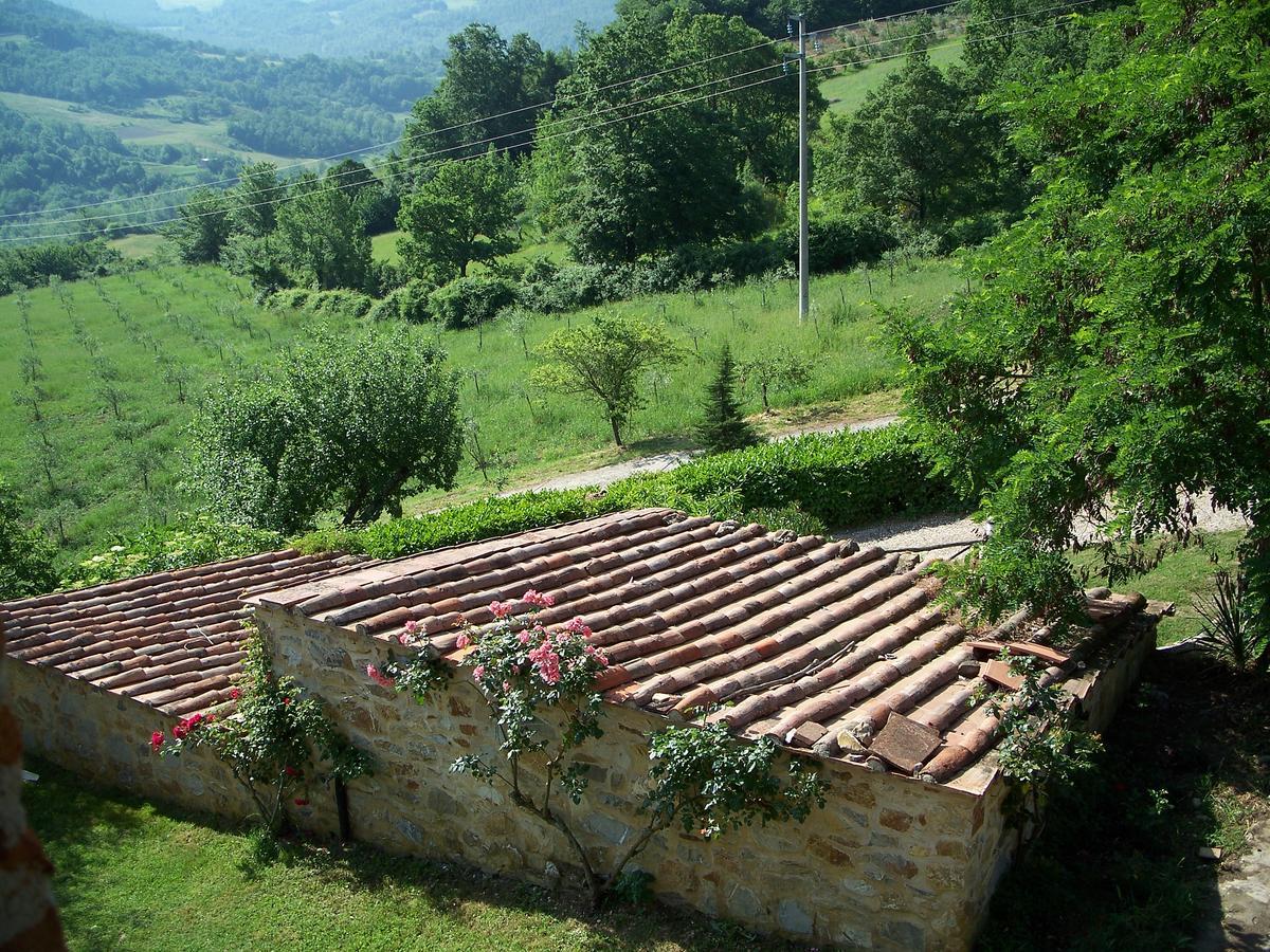 Agriturismo Santa Caterina カステルヌオーヴォ・ディ・ヴァル・ディ・チェーチナ エクステリア 写真