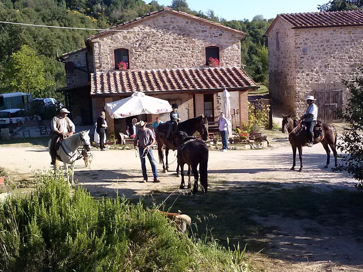 Agriturismo Santa Caterina カステルヌオーヴォ・ディ・ヴァル・ディ・チェーチナ エクステリア 写真