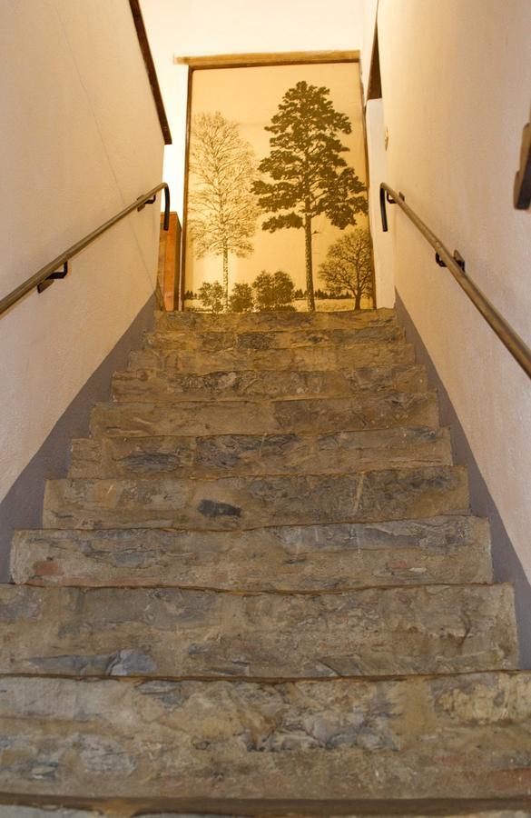 Agriturismo Santa Caterina カステルヌオーヴォ・ディ・ヴァル・ディ・チェーチナ 部屋 写真